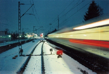 Eumel on road